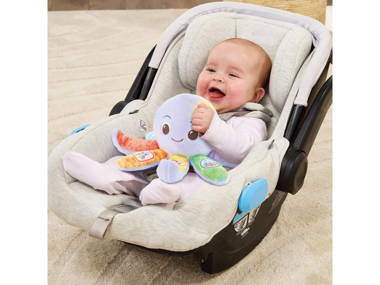 MARINA POLIPETTA CANTERIN