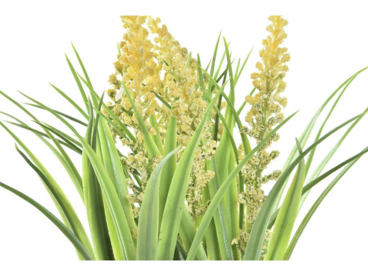 Pianta poliestere 9x9x21cm in 2 modelli assortiti