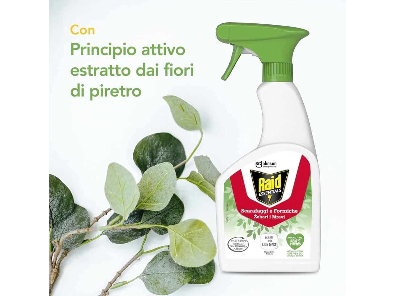 Raid trigger insetticida spray liquido scarafggi e formiche 500ml $