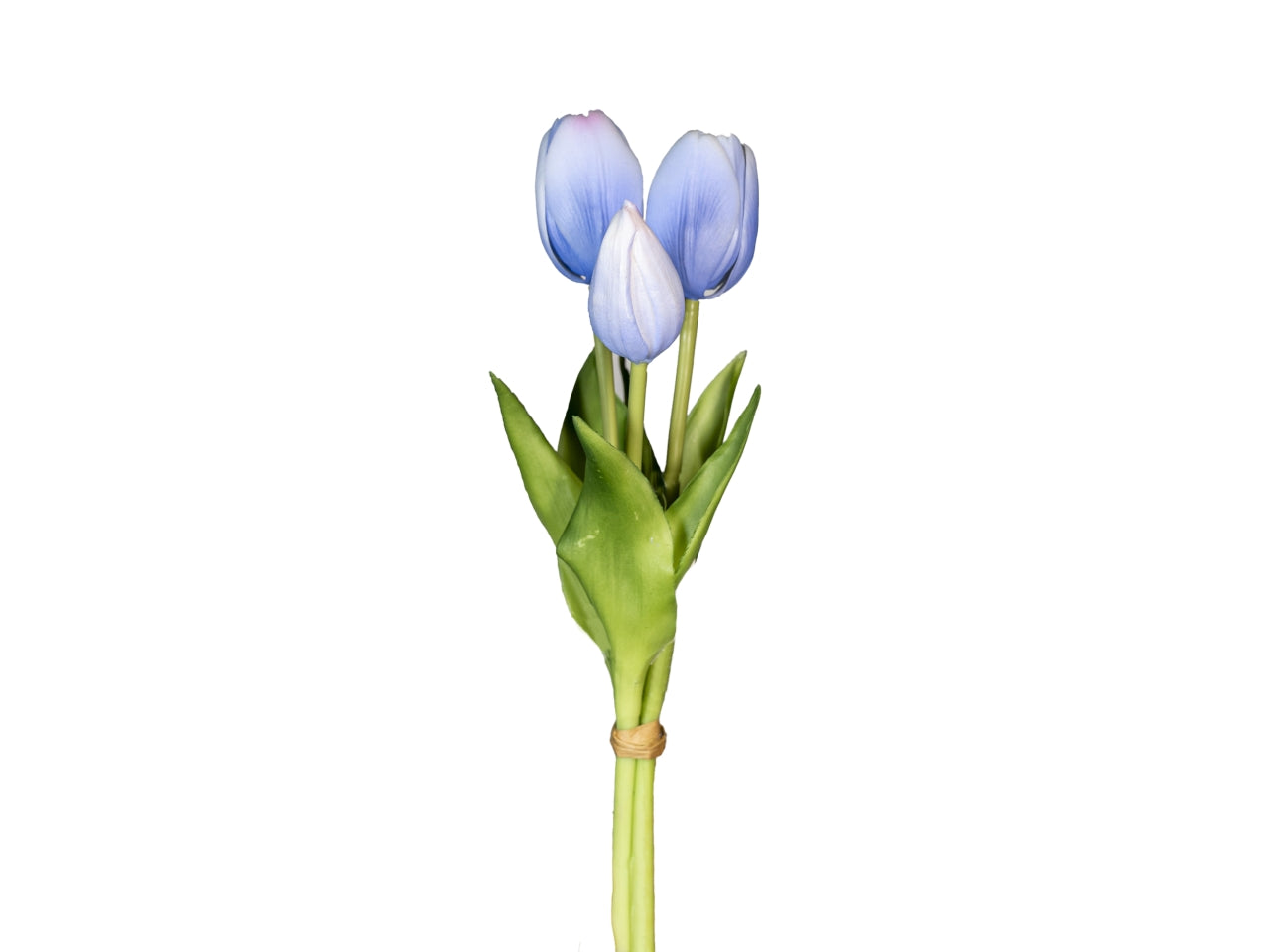 Mazzetto corto tulipani con 2 fiori e 1 bocciolo azzurro lavanda