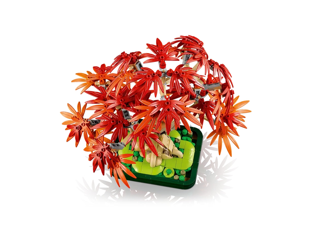 Lego Botanicals Bonsai di acero rosso giapponese