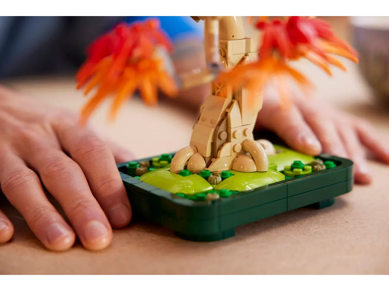 Lego Botanicals Bonsai di acero rosso giapponese