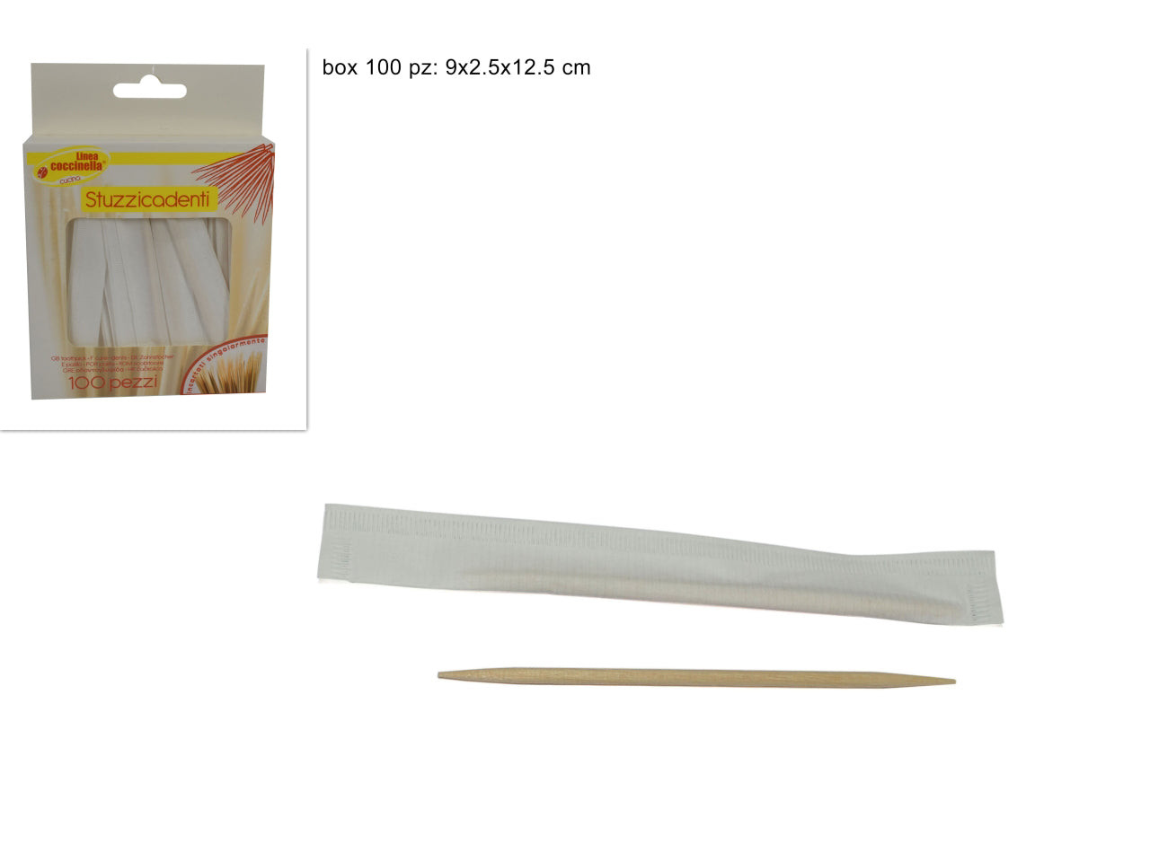 Stuzzicadenti 100 pezzi