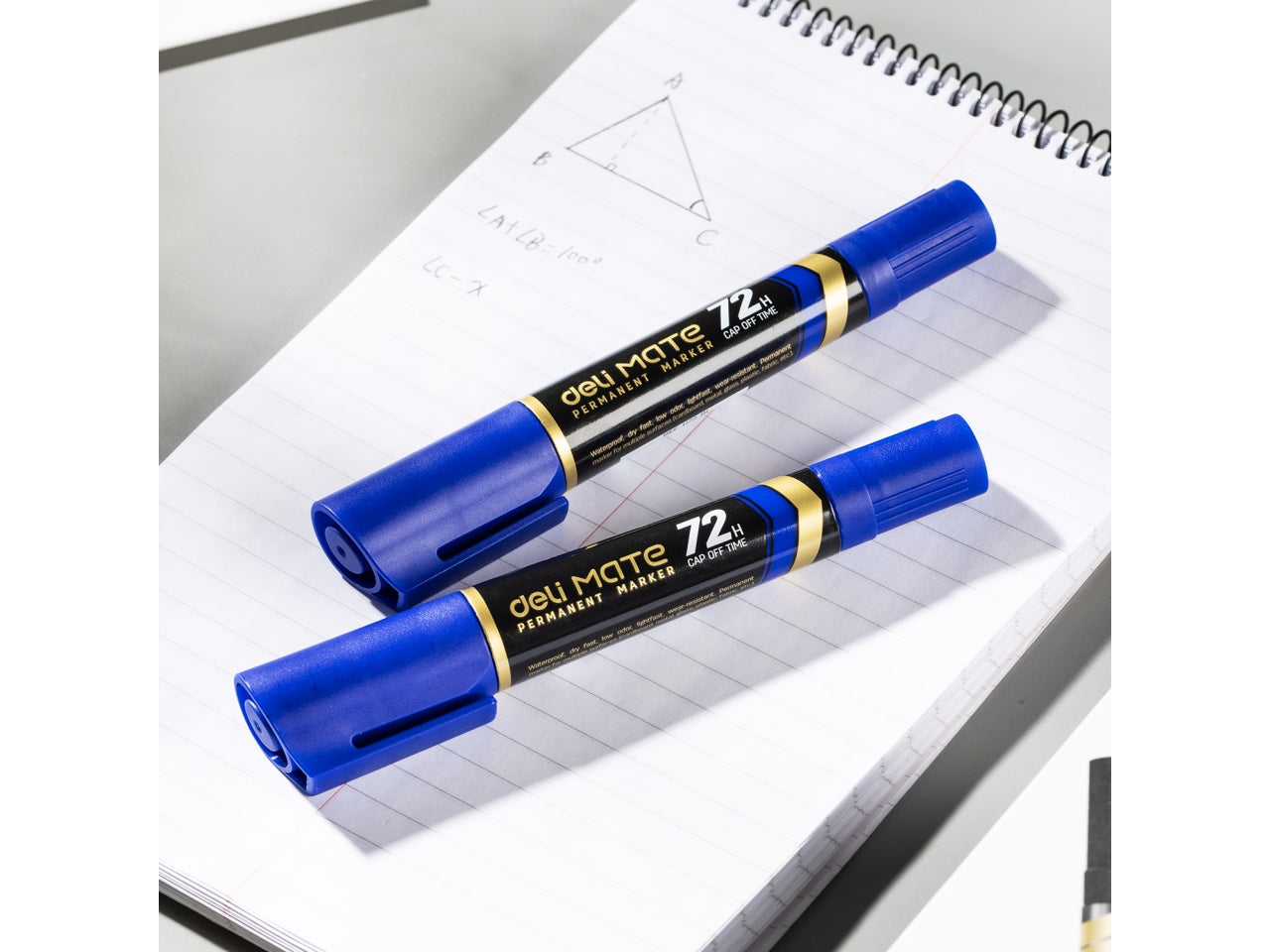 Marcatore doppia punta scatola da 10 pezzi blu