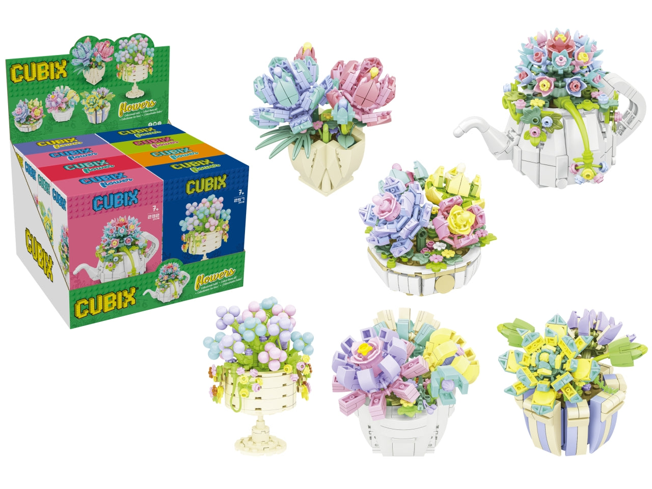 Cubix piante grasse con vaso con 8 pezzi assortiti