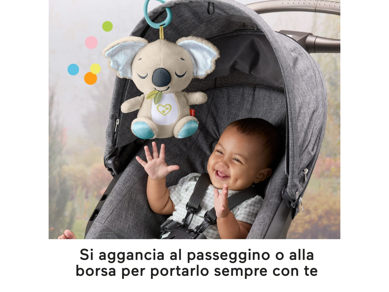 Koala coccole sempre con te