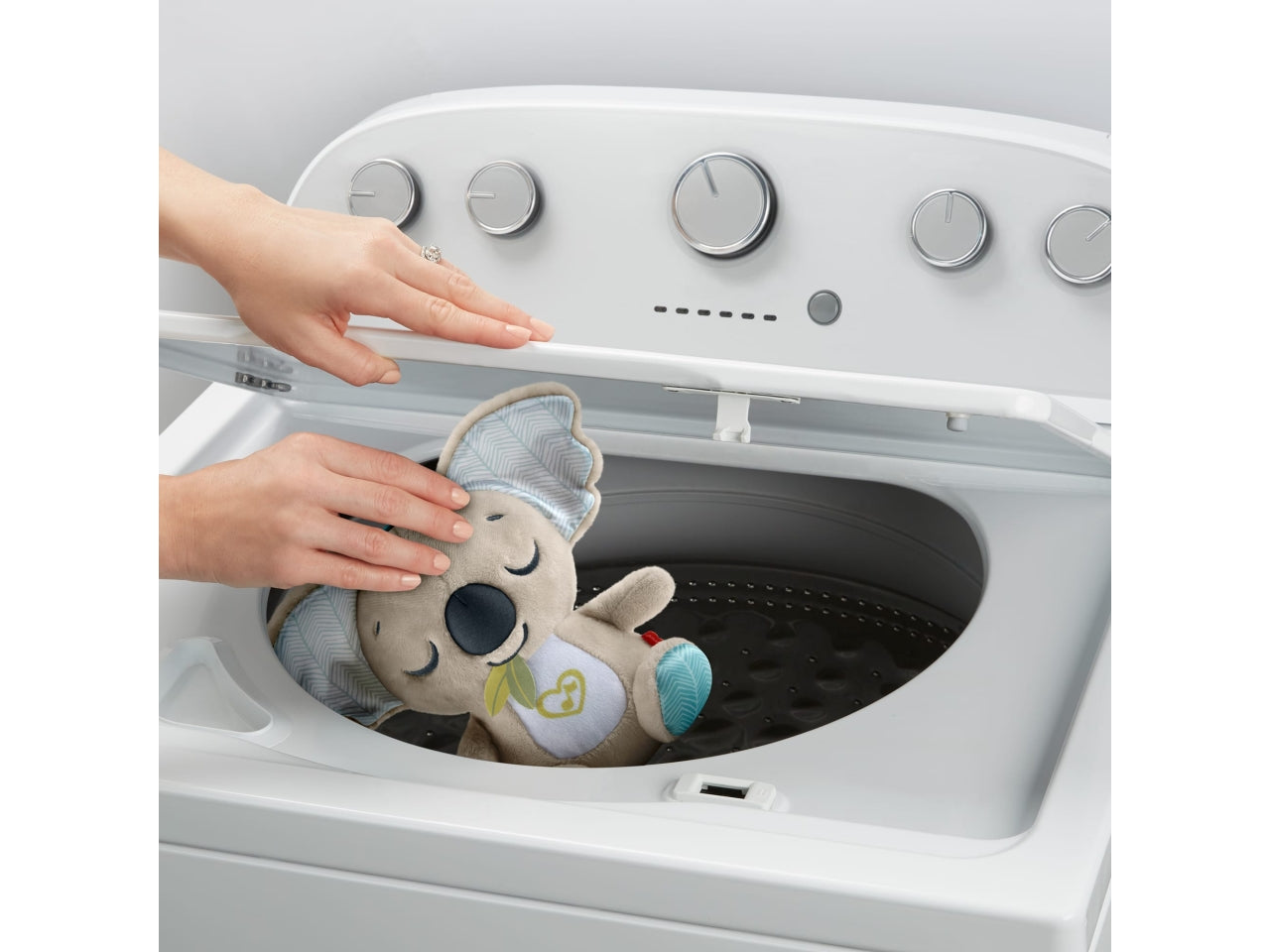 Koala coccole sempre con te