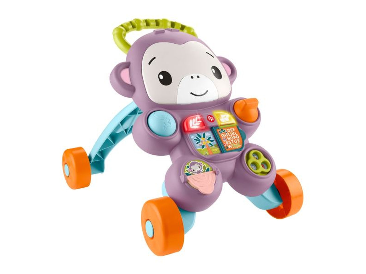 Scimmietta primi passi