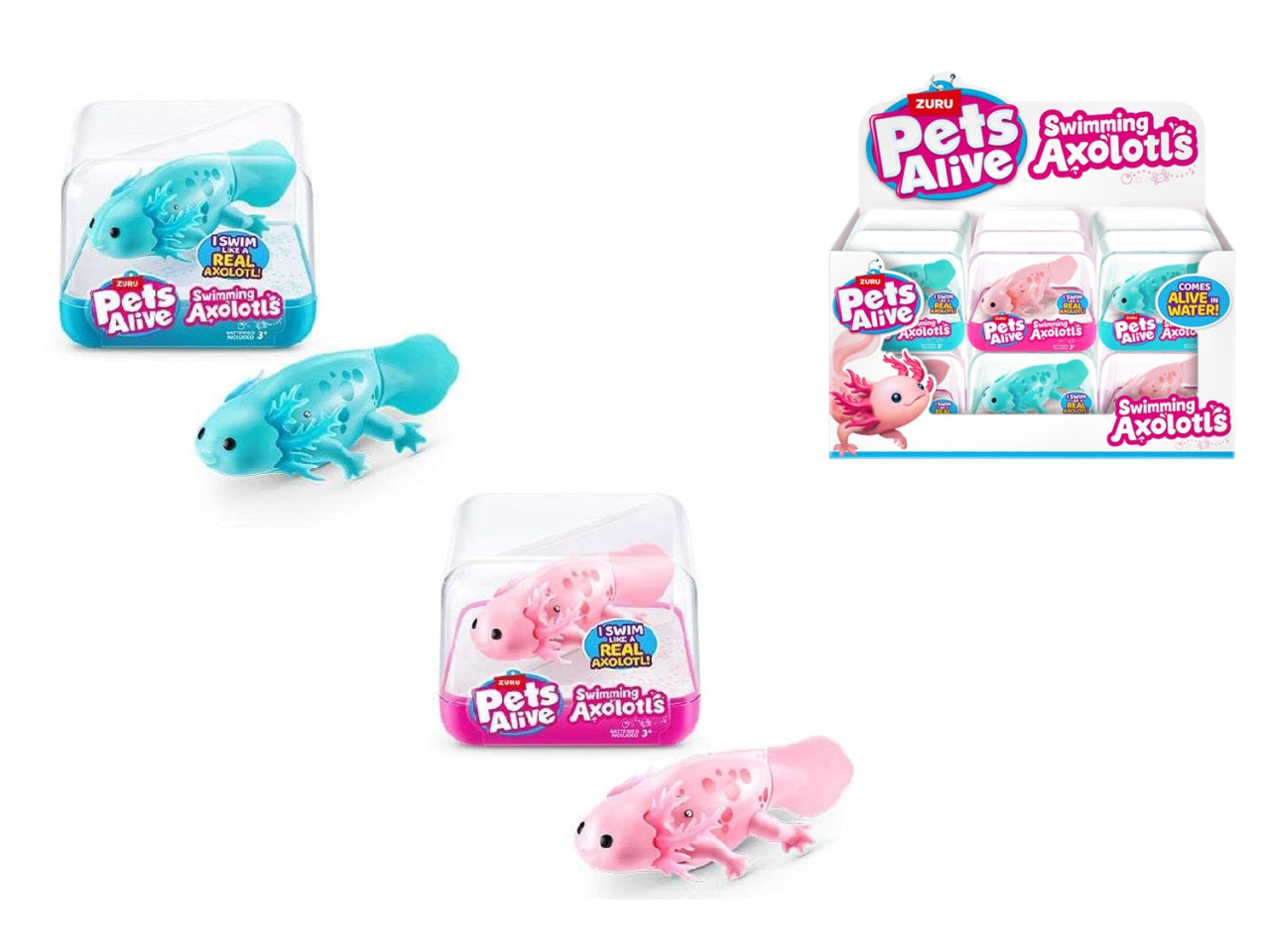 Axolotl Nuota Davvero