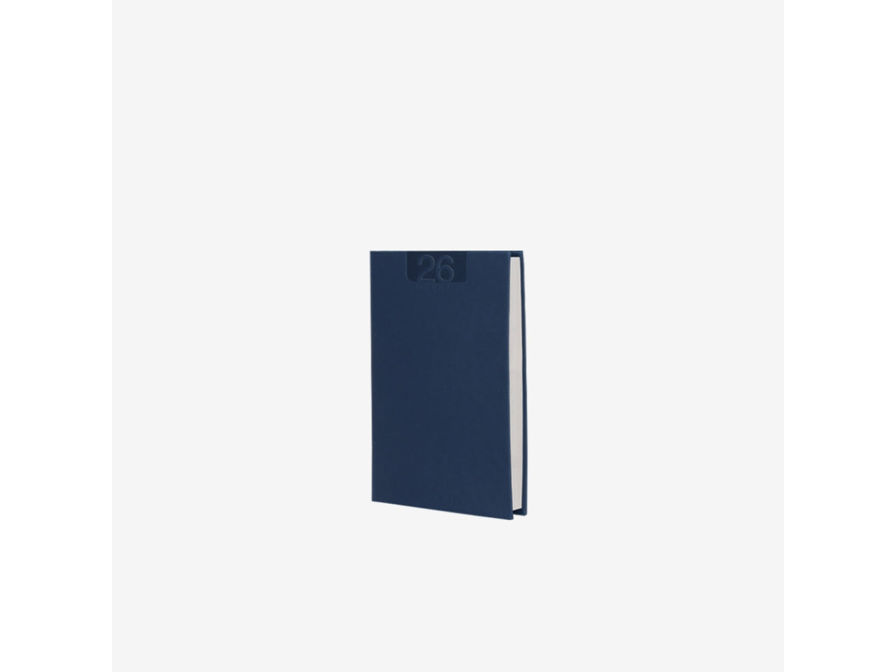 Agenda delta 2026 bigiornaliera 7x10cm blu $