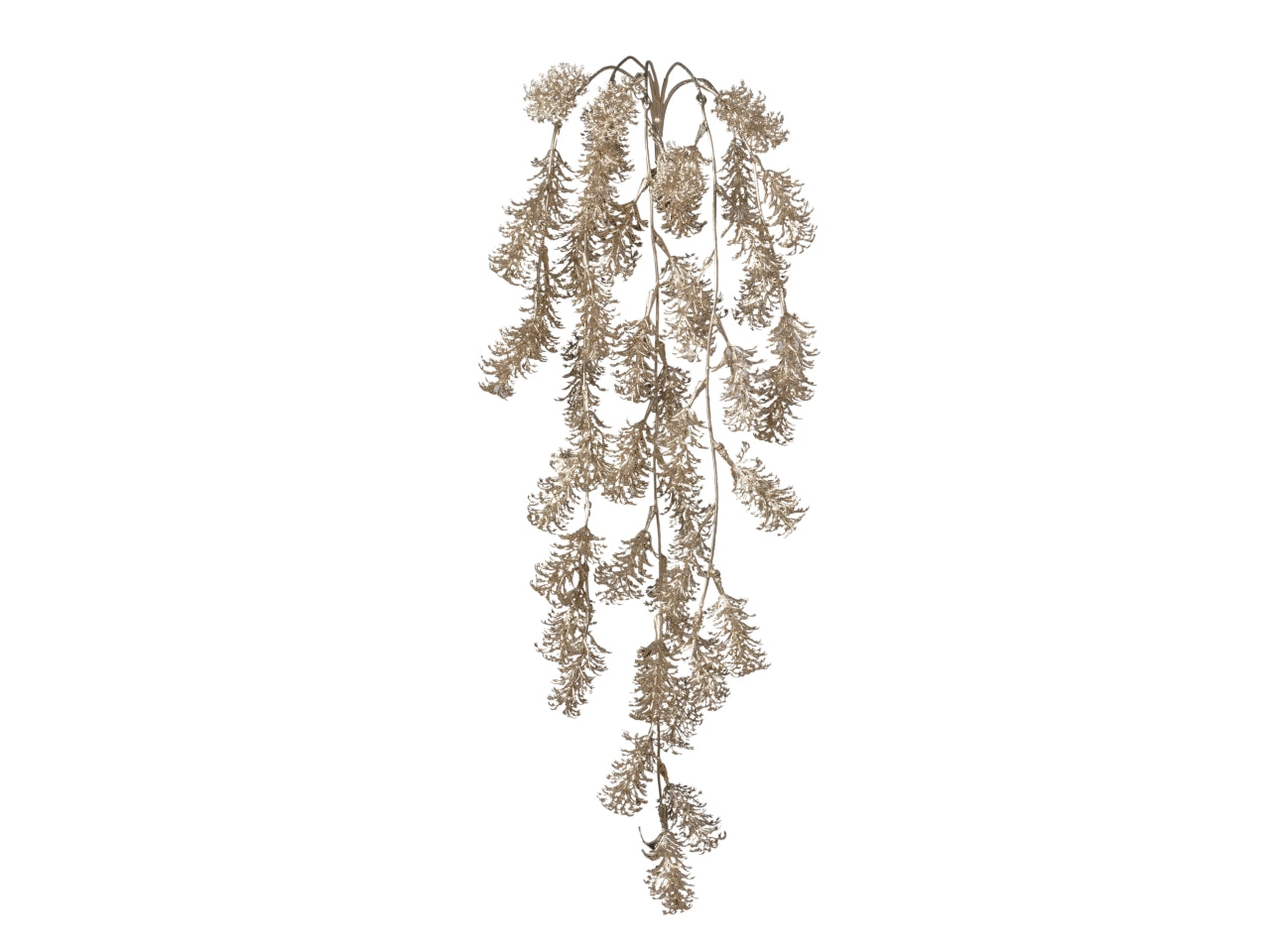 Mazzo rosmarino cadente 75cm 033 champagne