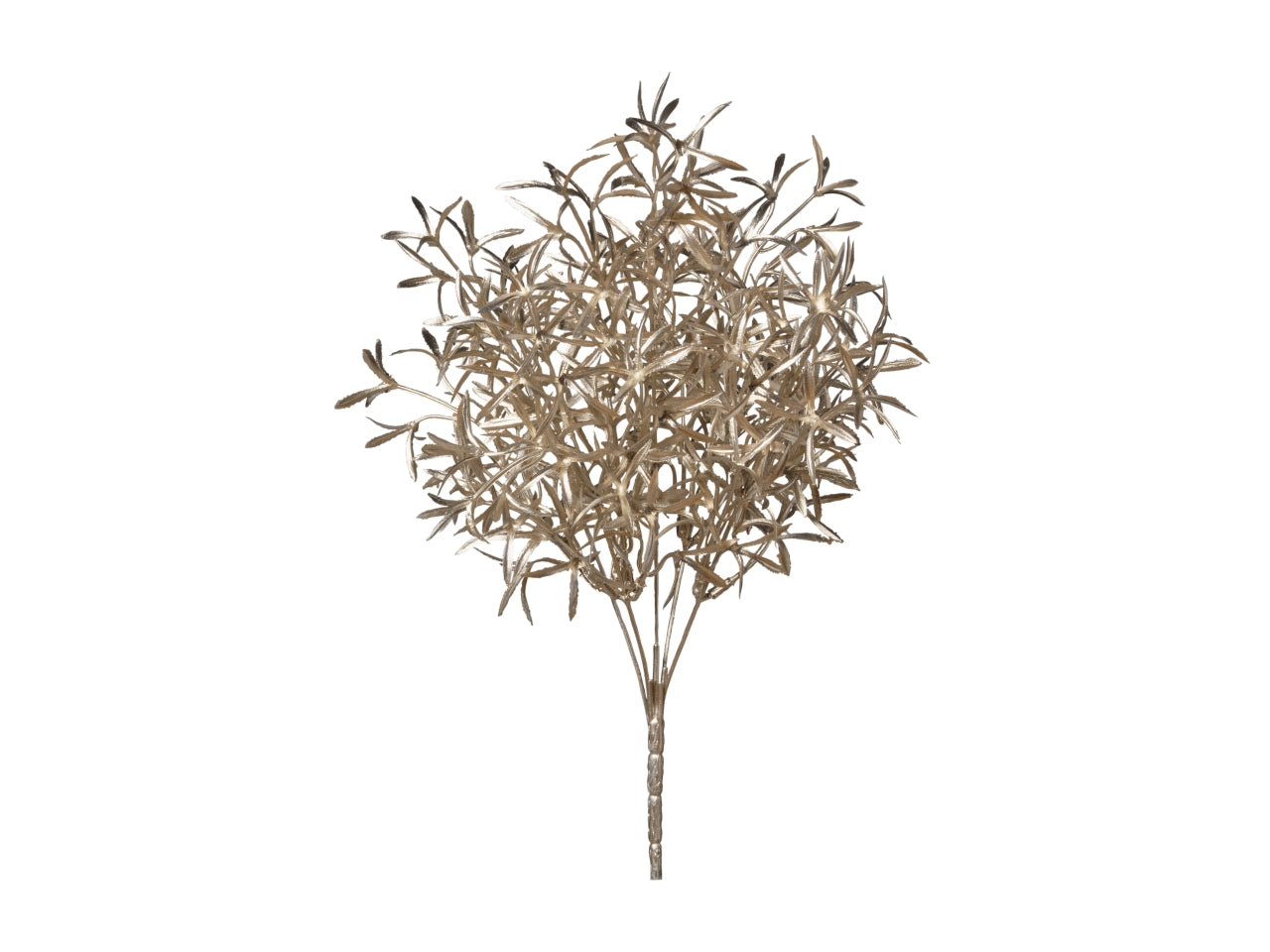 Mazzo rosmarino 37cm 033 champagne