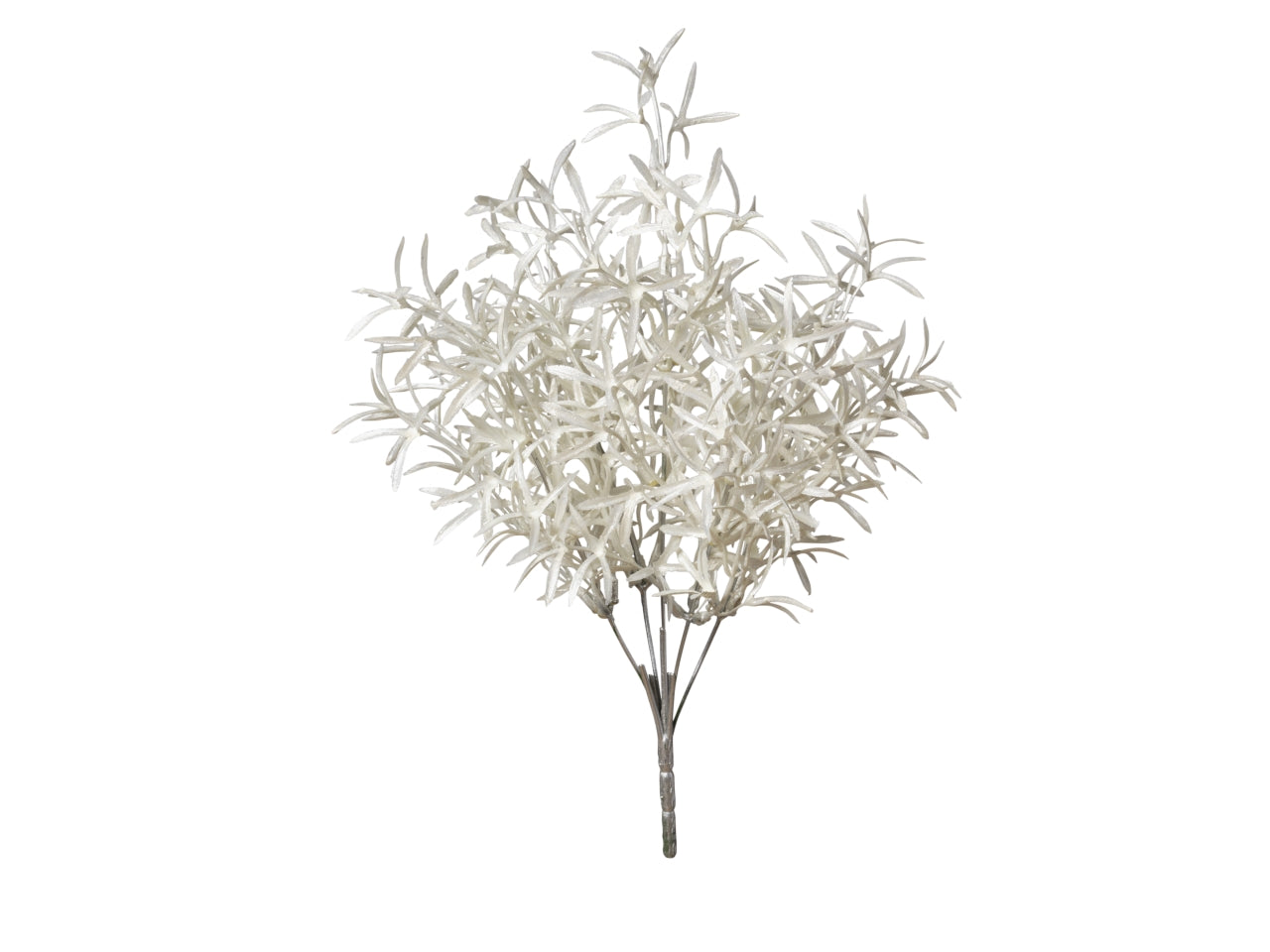 Mazzo rosmarino 37cm 297 bianco