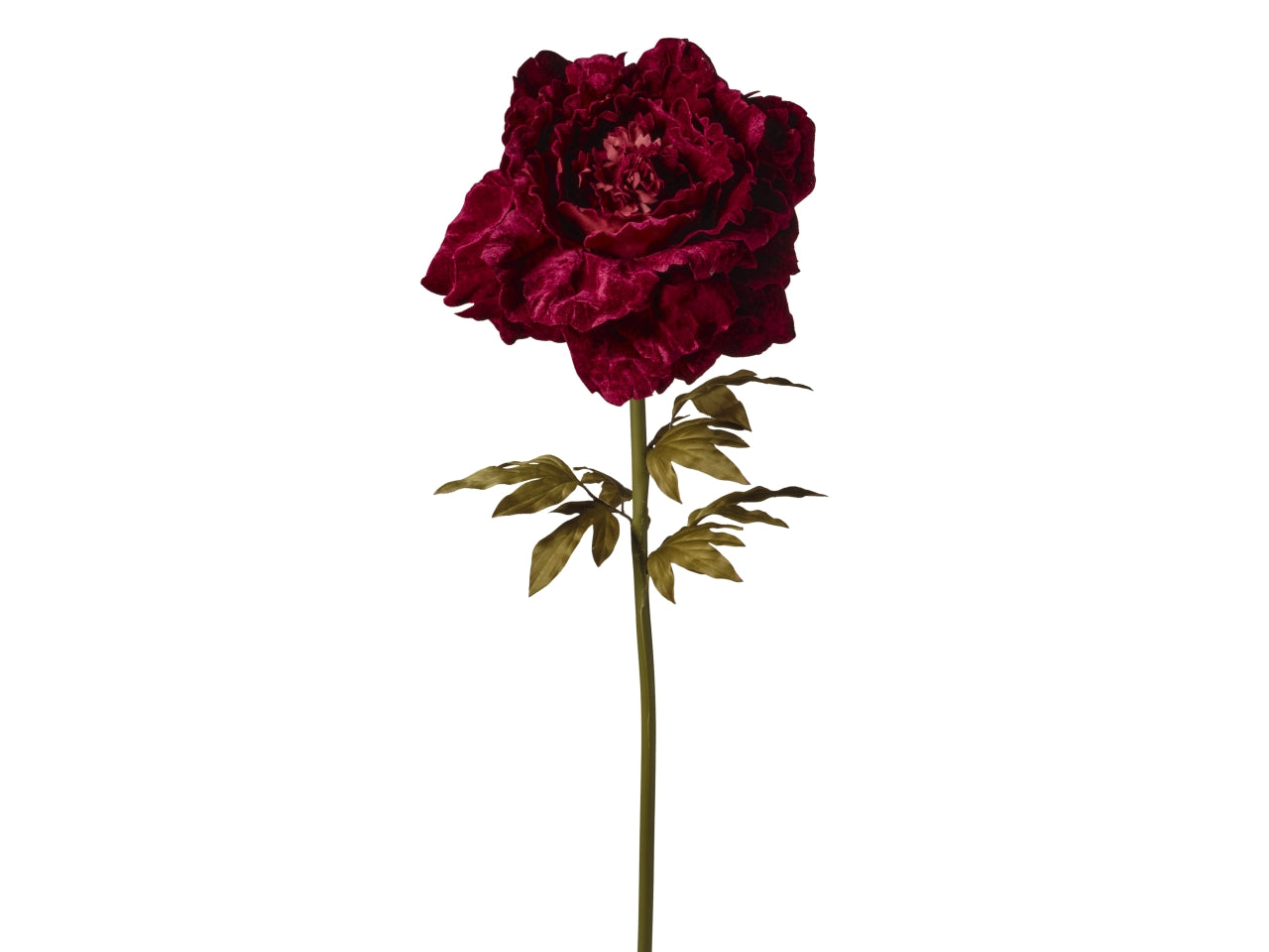 Ramo peonia 38x38x115cm 017 borgogna