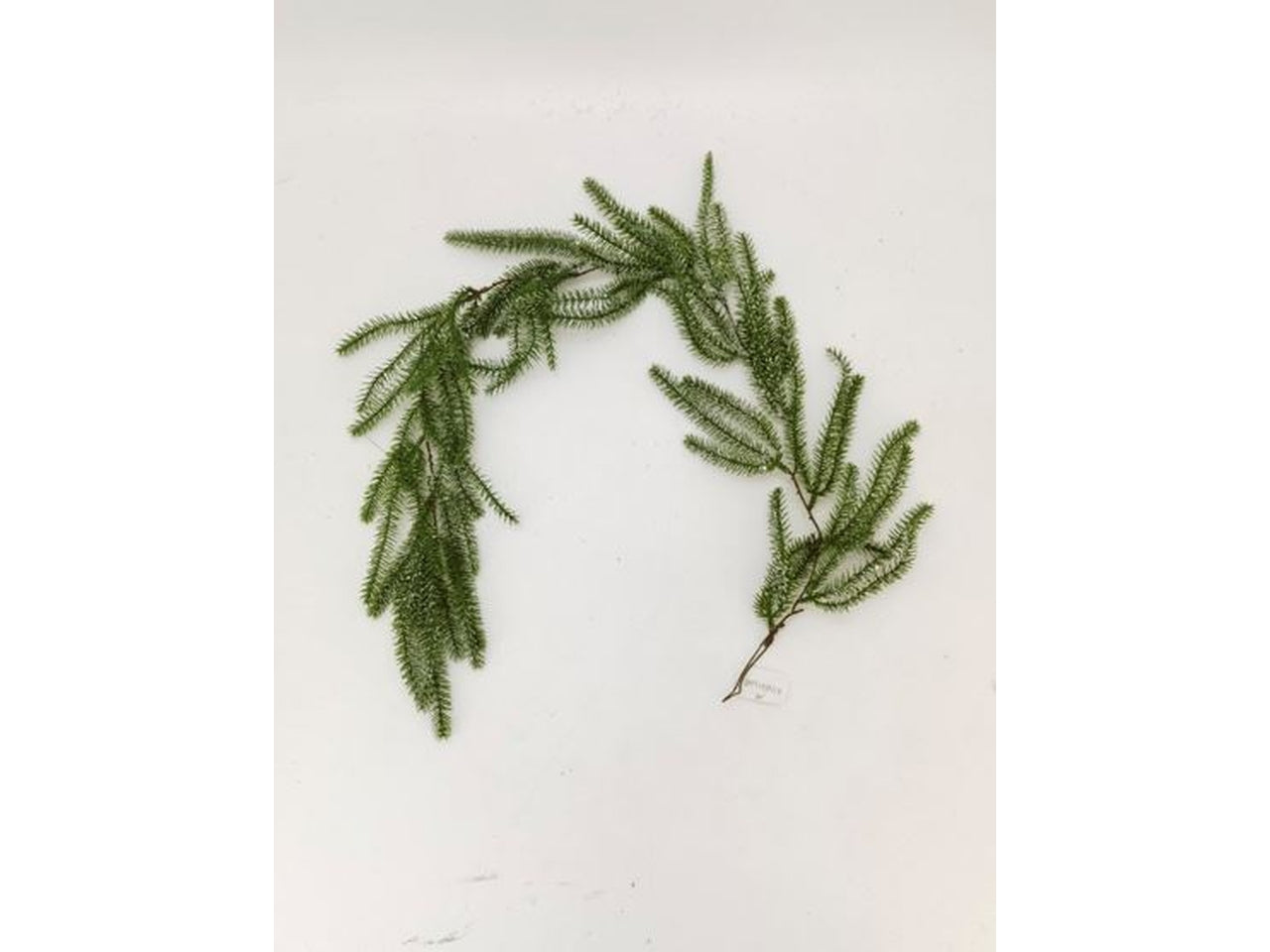 Ghirlanda 120cm verde crystal willow
