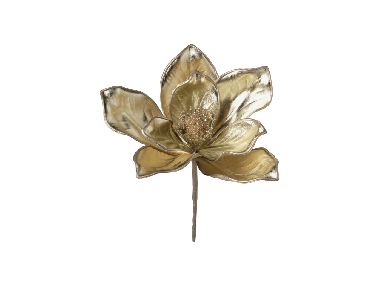 Rametto magnoliacm25 033 champagne