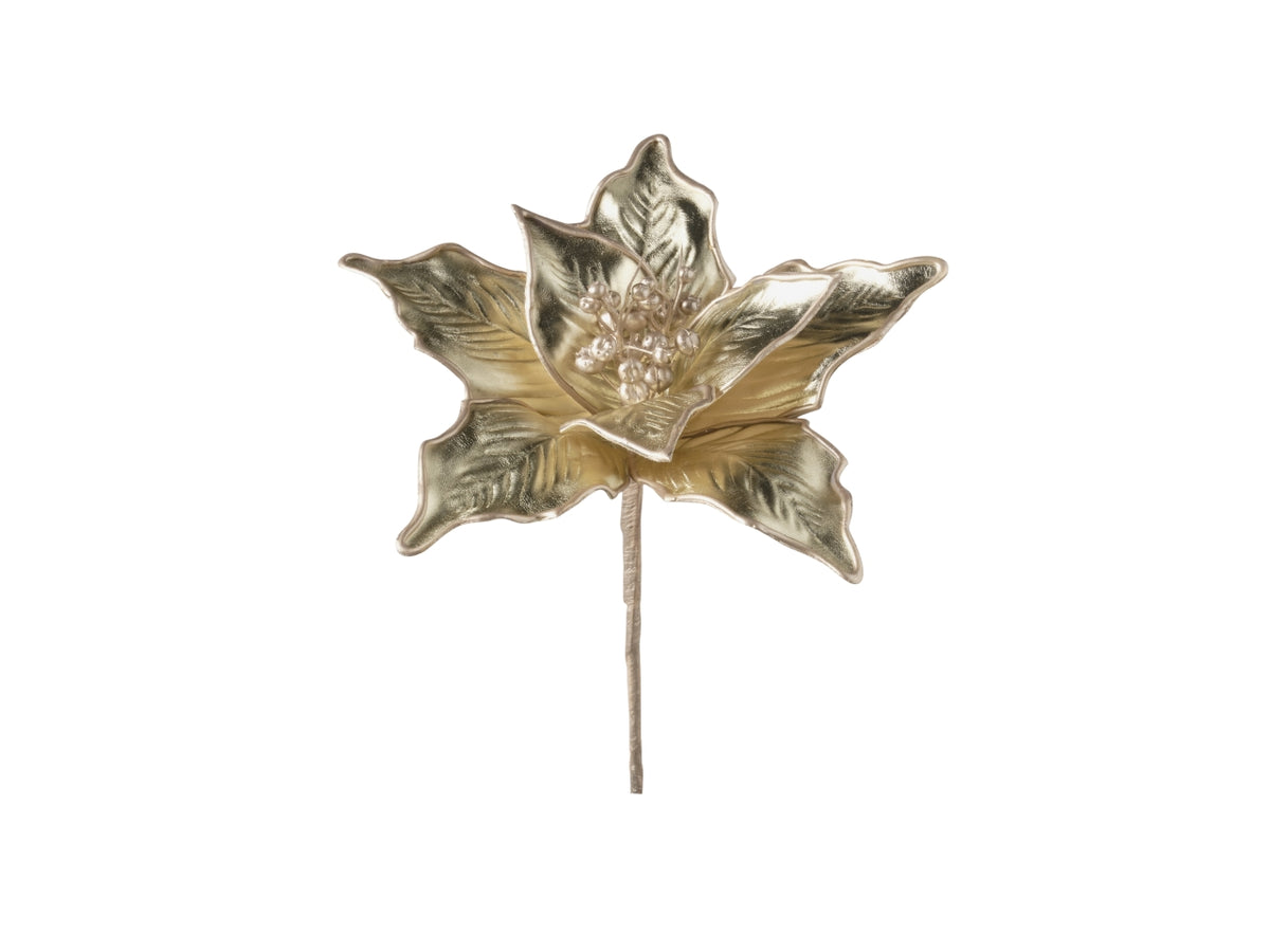 Rametto stella natale 25cm 033 champagne
