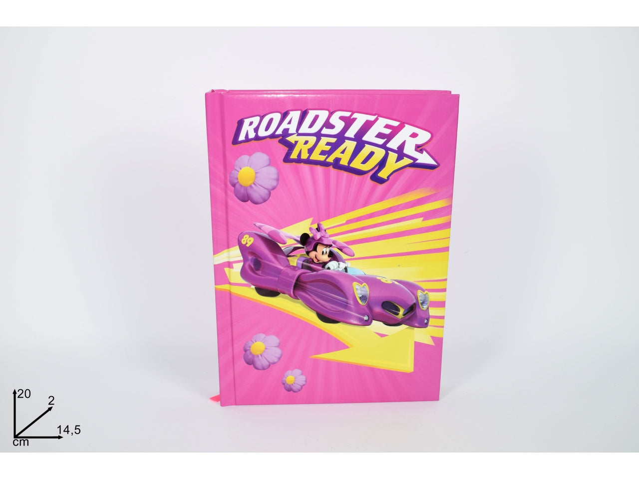 Diario scuola minnie