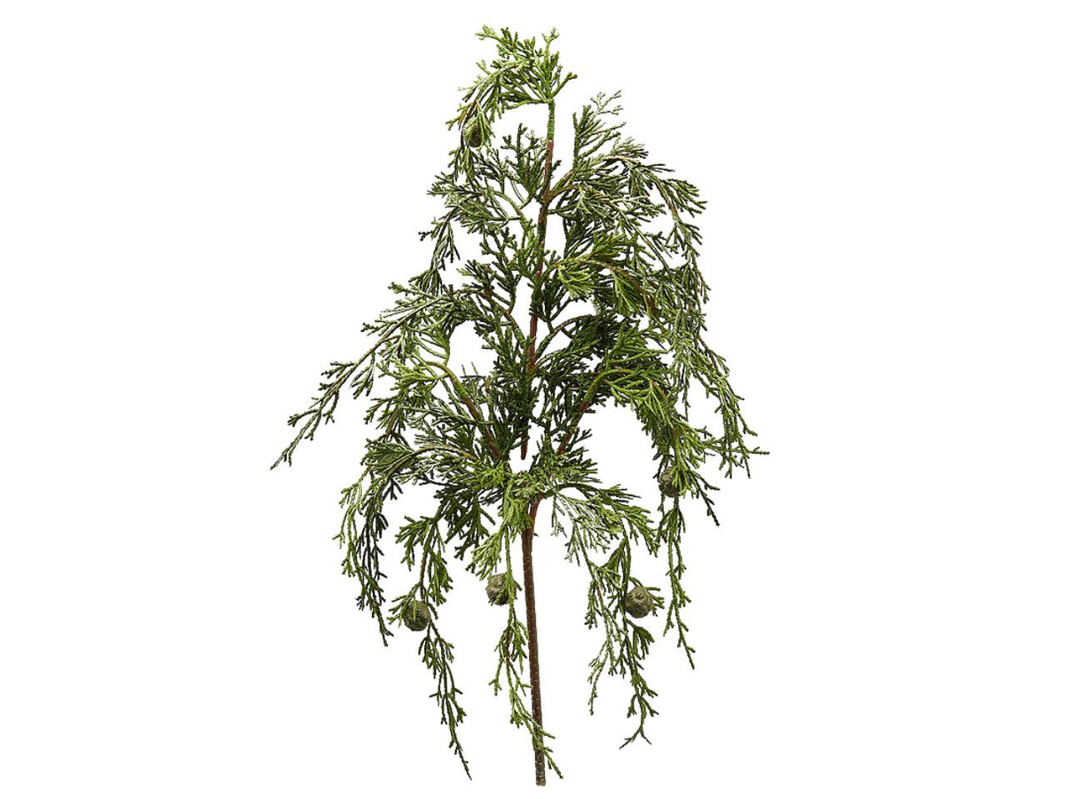 Ramo pino cadente 55cm verde