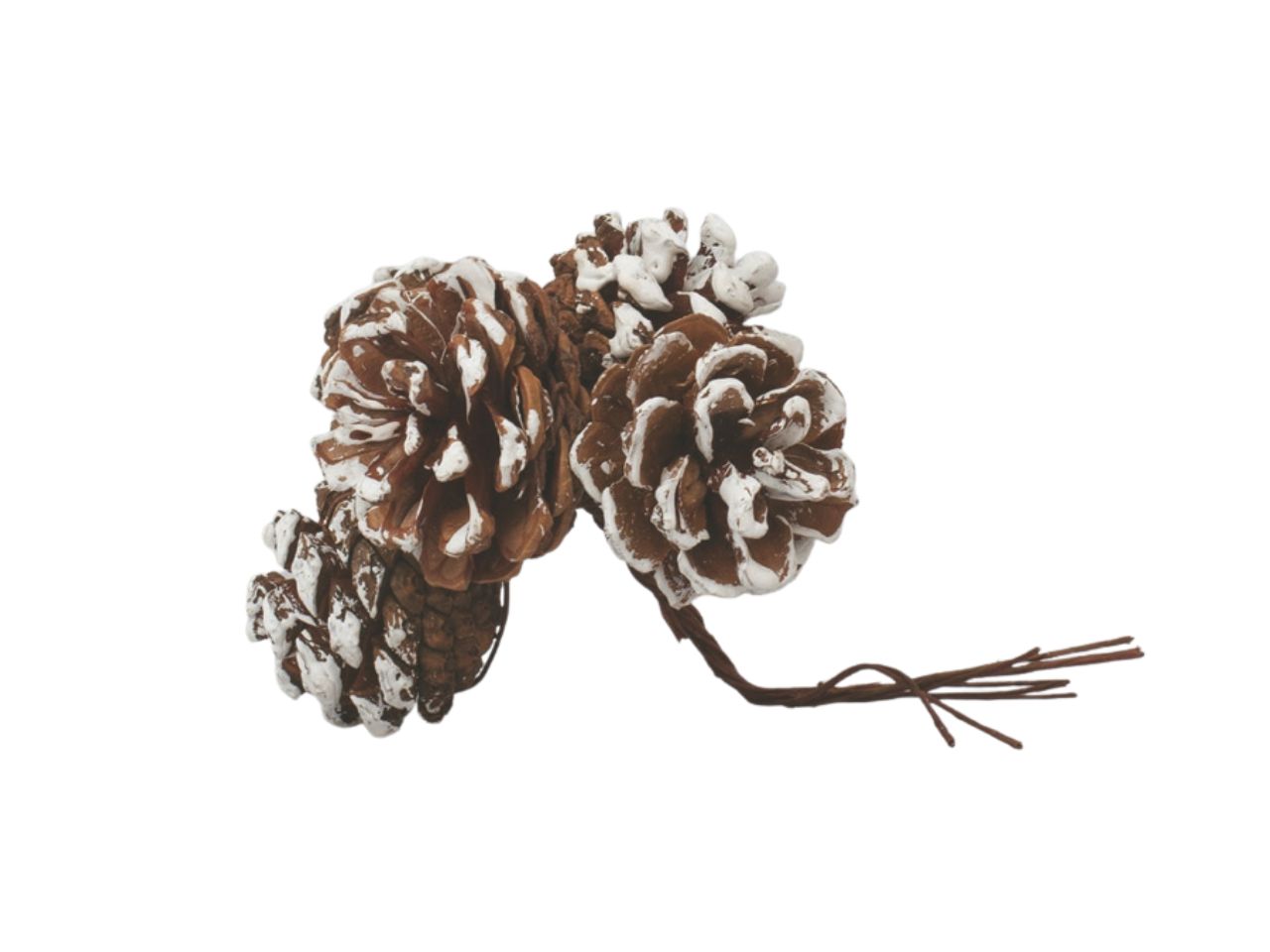 Pigne innevate 4cm 4 pezzi