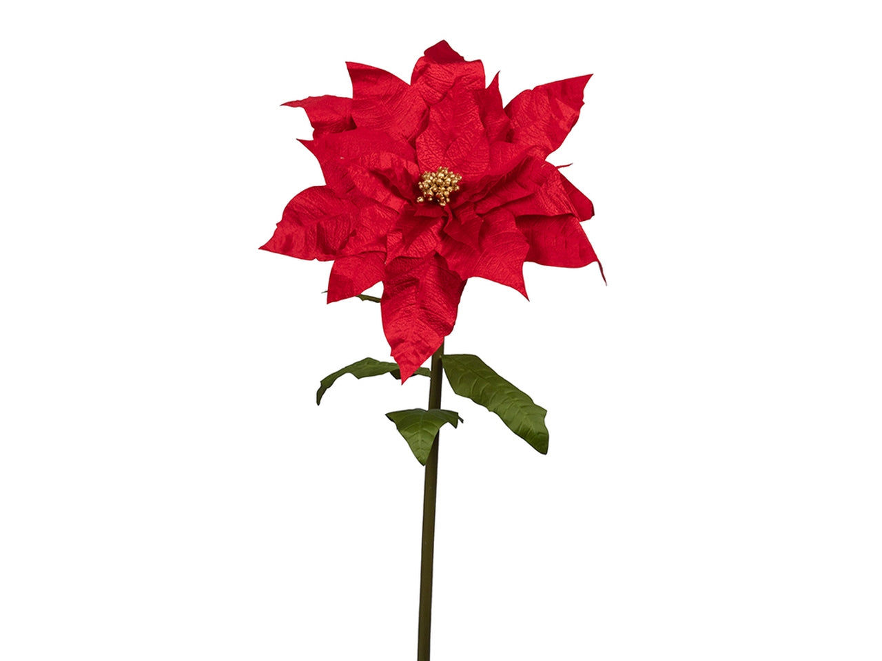 Ramo stella natale 150cm rossa con pistillo oro