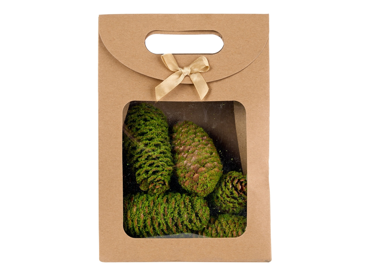 Pigne in scatola 5/9cm verdi