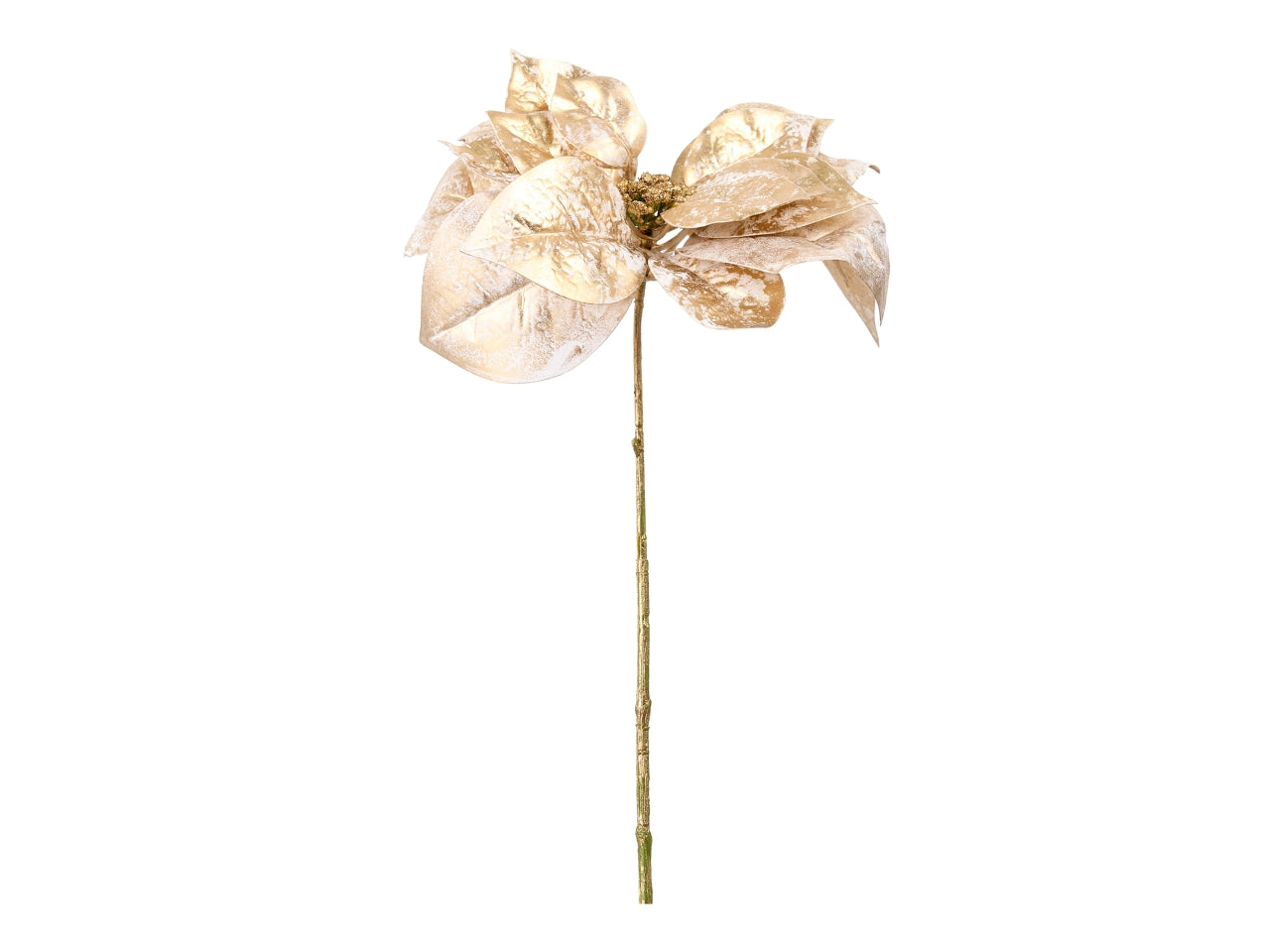 Pick stella di natale oro