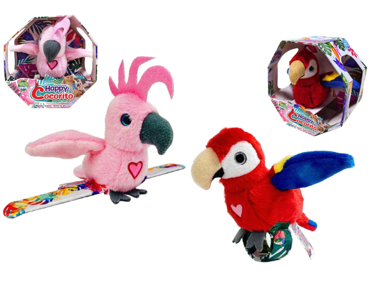 Happy Cocorito sempre con te tv