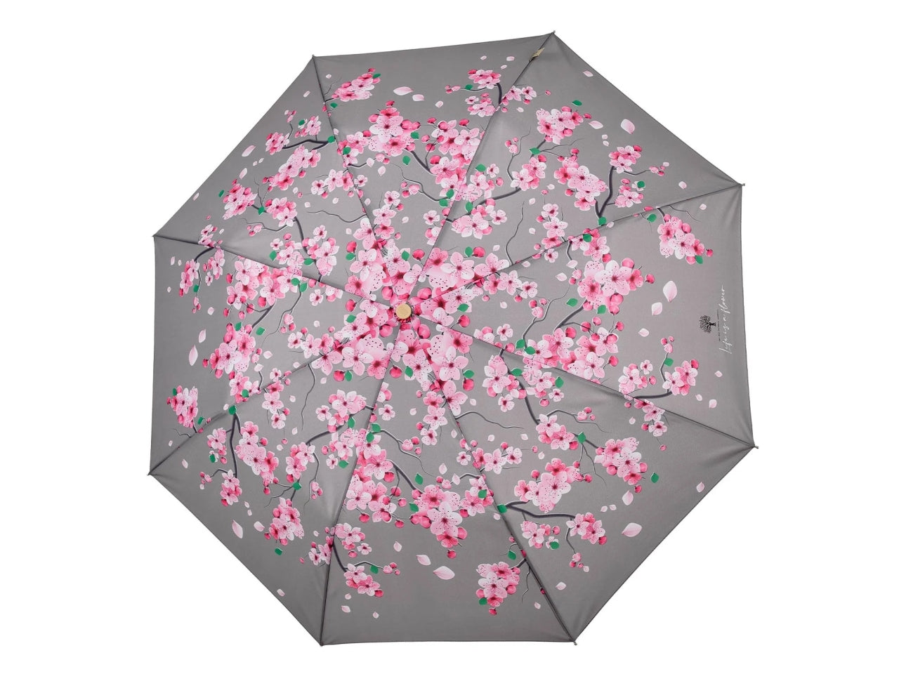 Ombrello donna mini 54cm automatico con stampa fiore di pesco