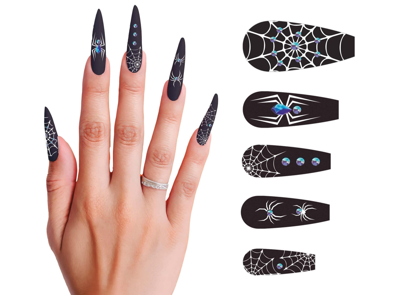 Unghie lunghe ragno con colla
