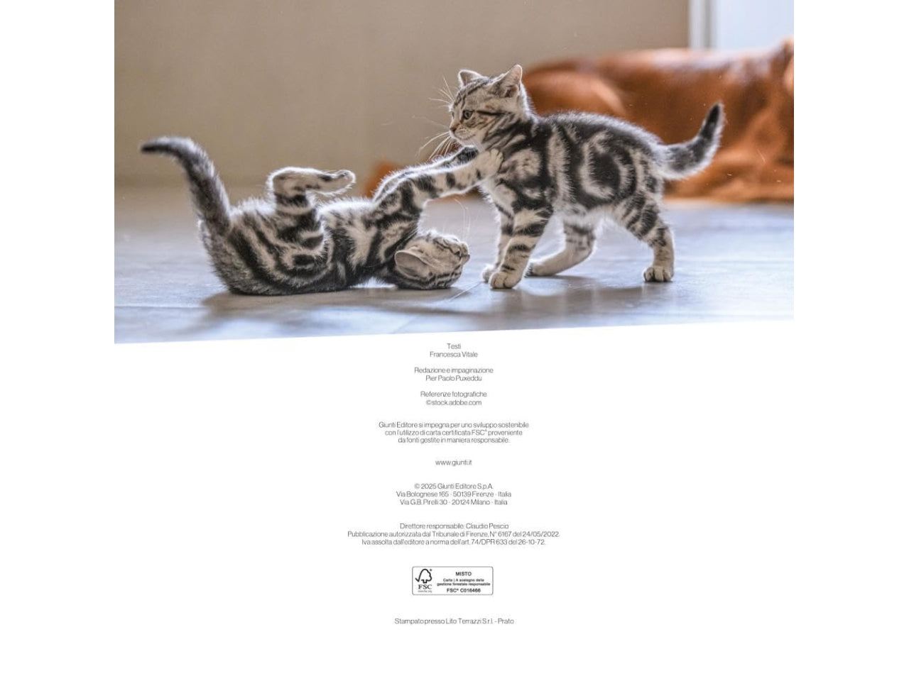 Calendario gatti2026