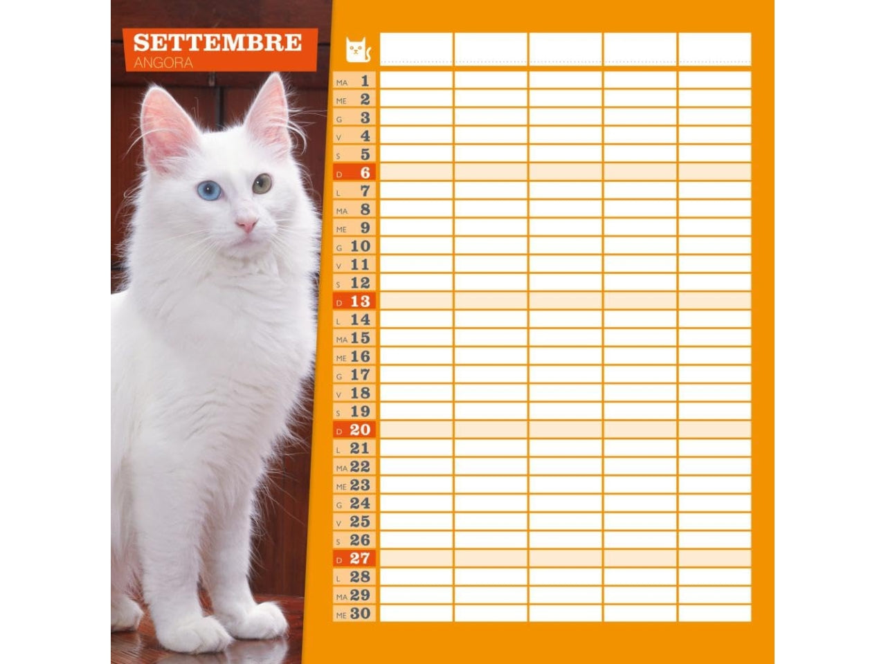 Calendario gatti2026