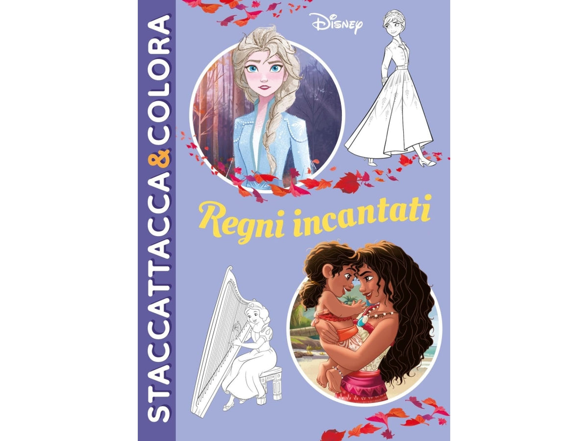 Regni incantati staccattacca e colora