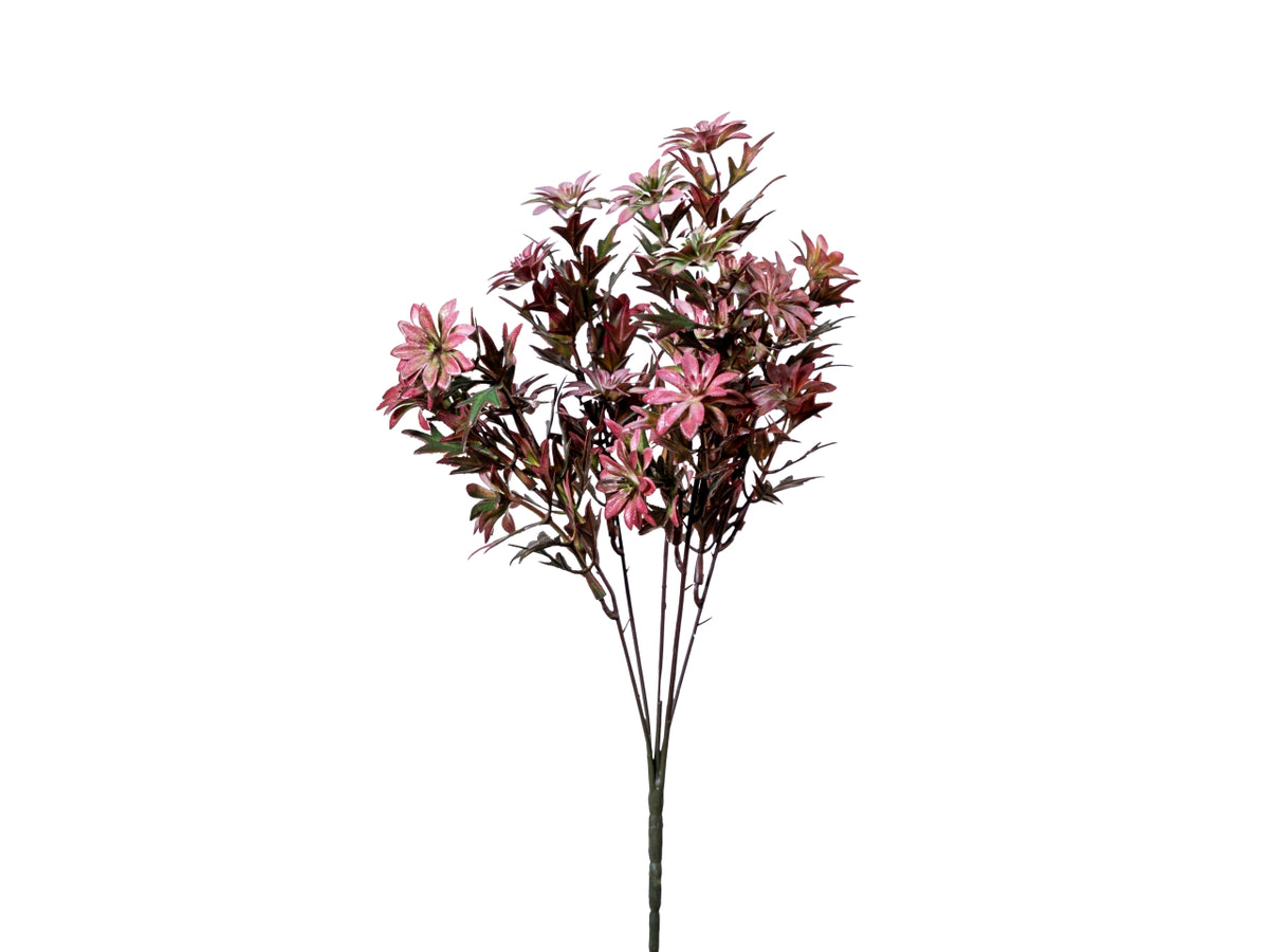 Mazzo succulenta 35cm malva