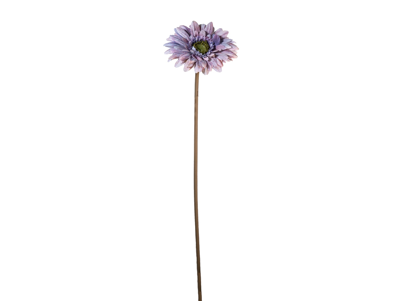 Ramo gerbera 50cm lilla