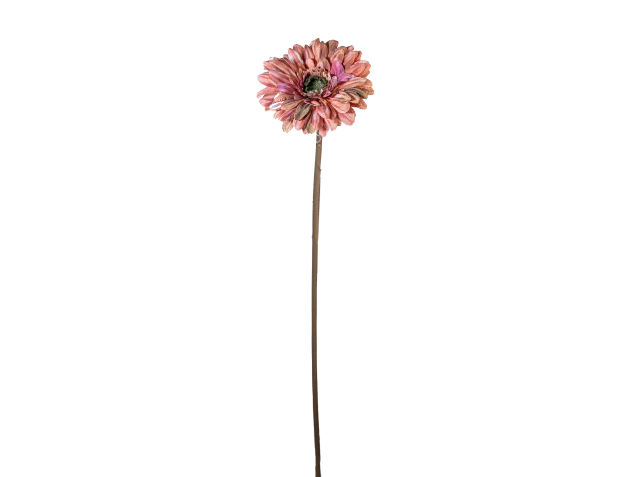 Ramo gerbera 50cm malva
