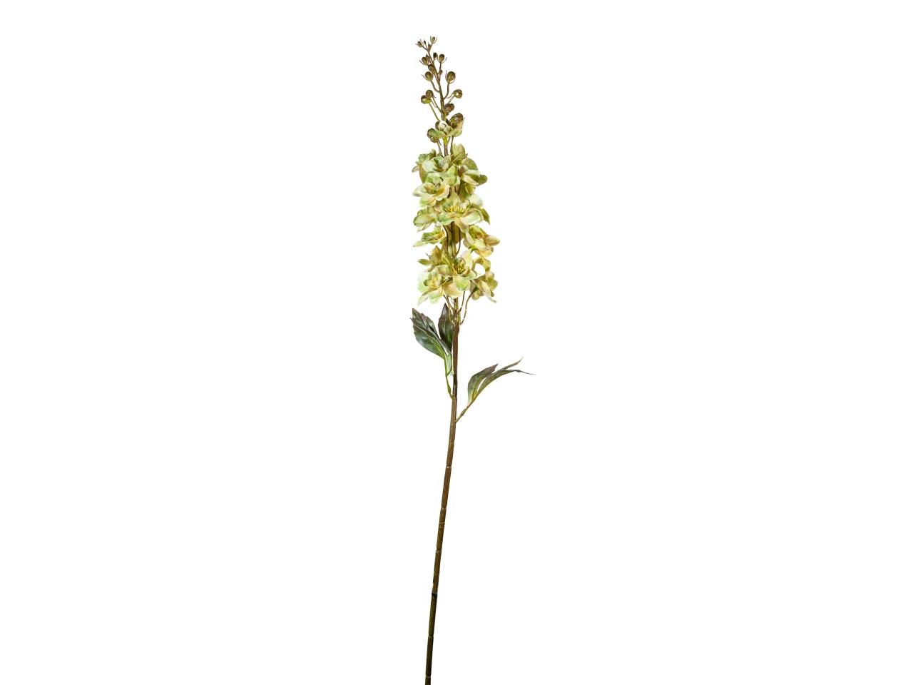 Ramo delphinium 85cm crema verde