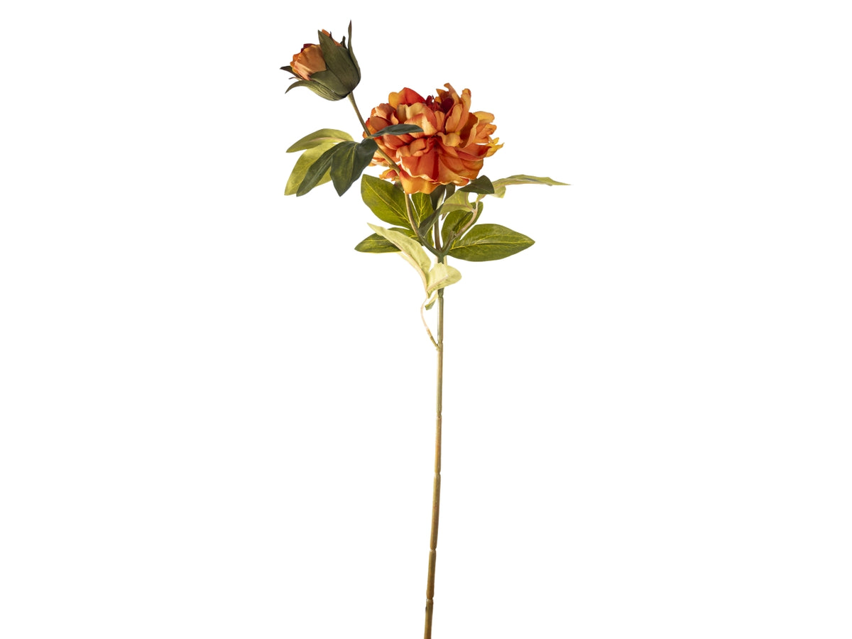Ramo peonia 65cm fiore con bocciolo arancio$