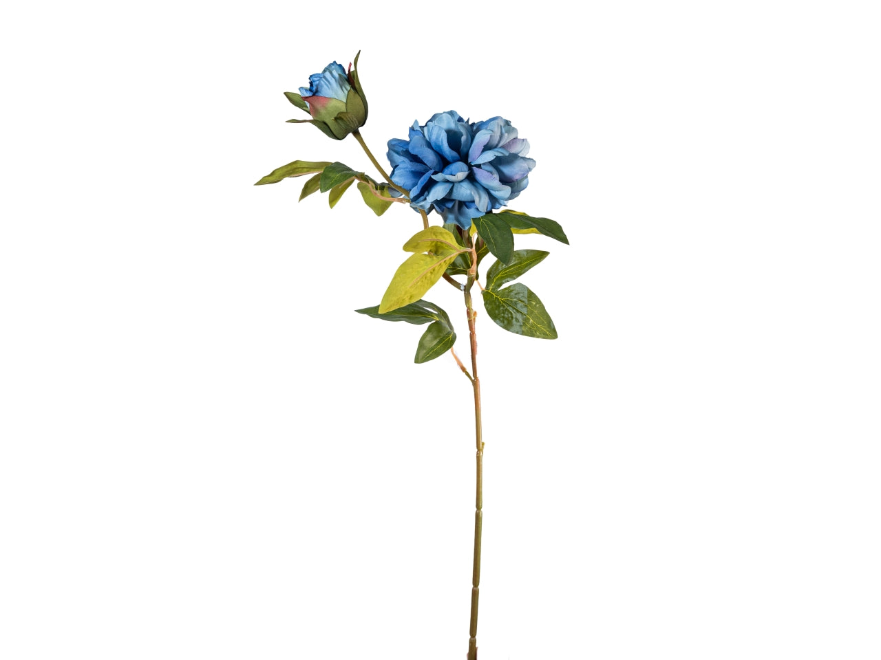 Ramo peonia 65cm fiore con bocciolo blu