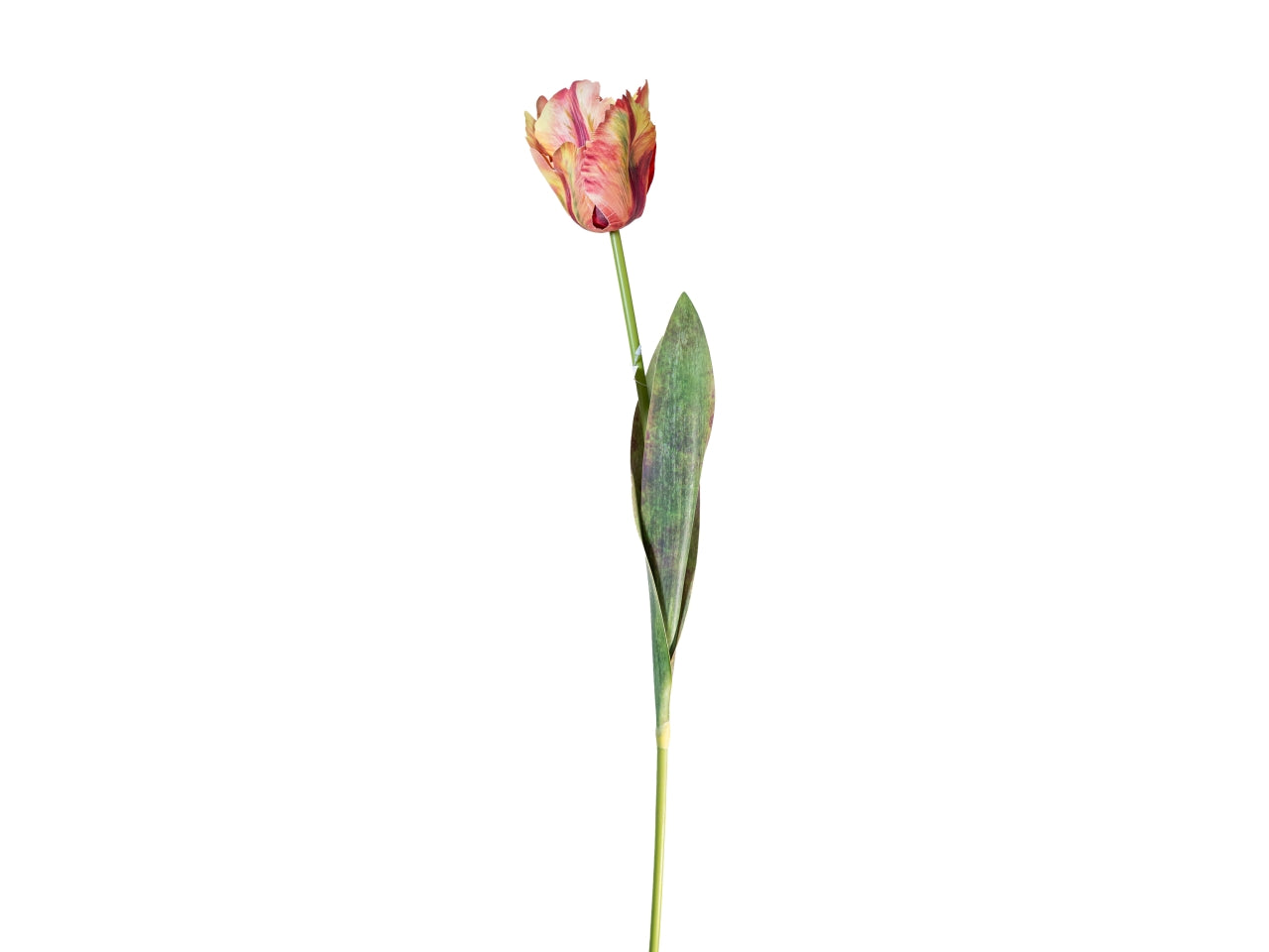 Ramo tulipano 70cm corallo