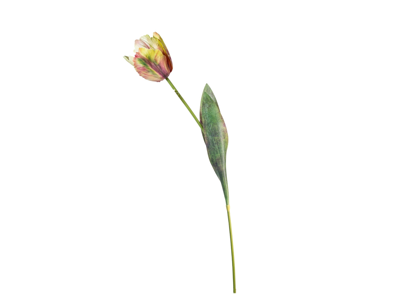 Ramo tulipano 70cm senape