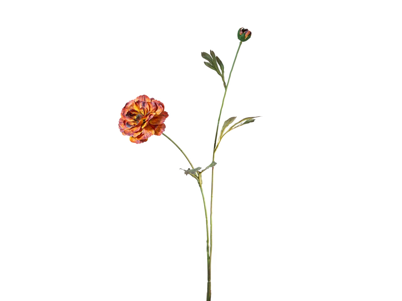 Ramo zinnia 72cm fiore con bocciolo marrone