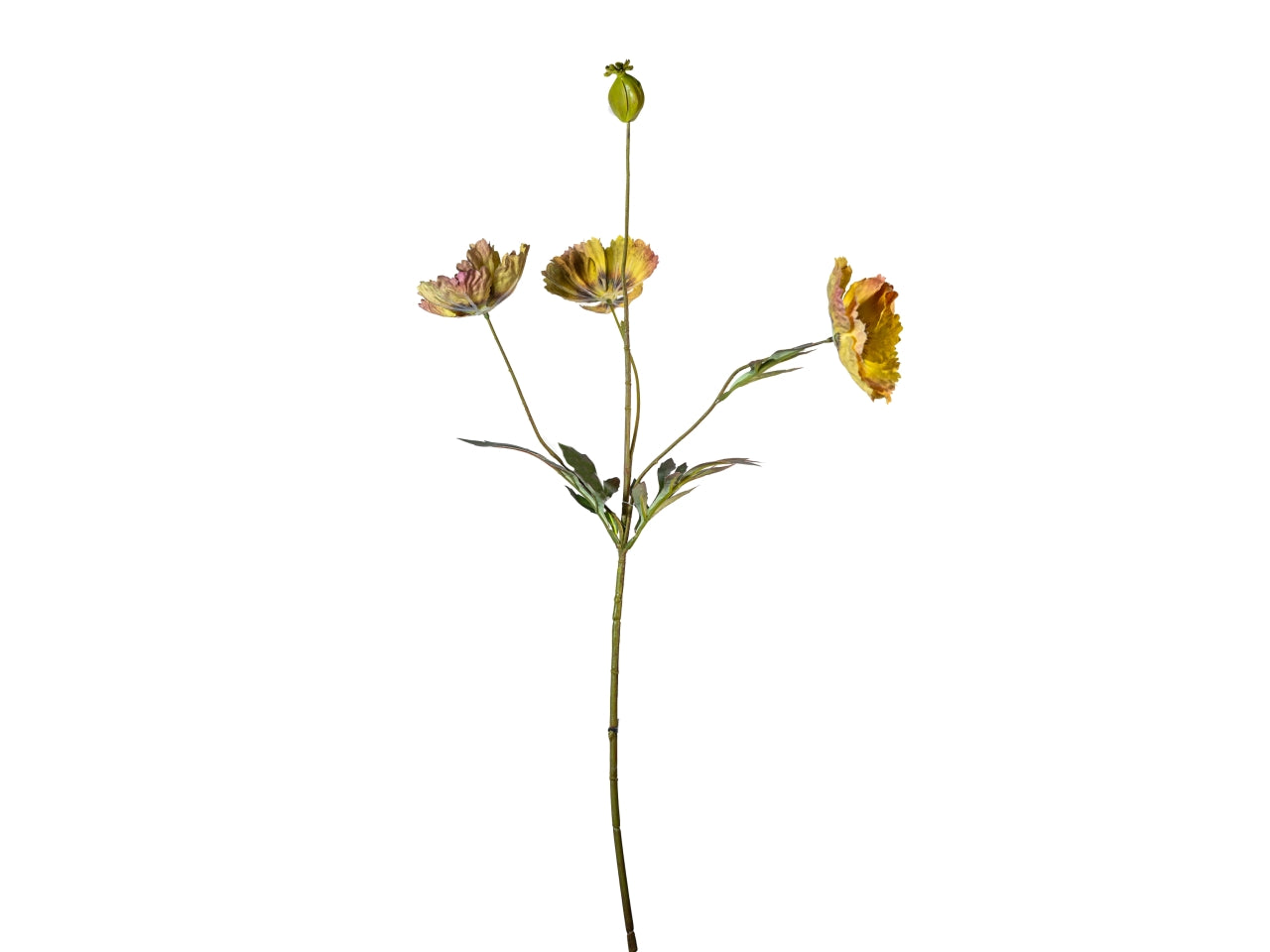 Ramo papavero 70cm fiori con bocciolo senape