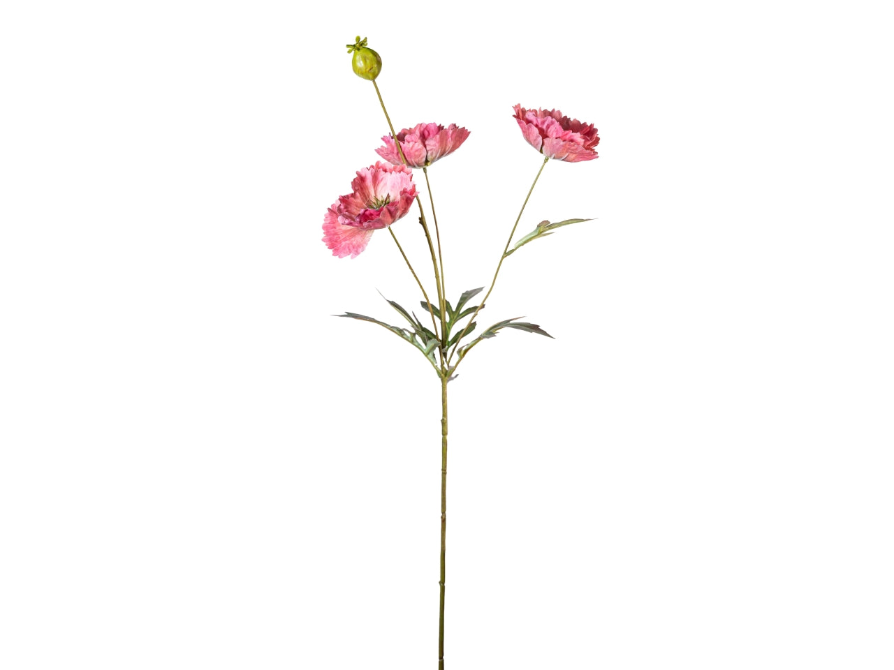 Ramo papavero 70cm fiori con bocciolo rosa scuro