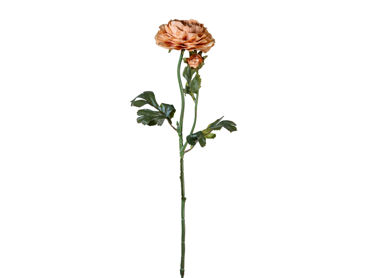 Ramo ranuncolo 60cm con bocciolo pesca