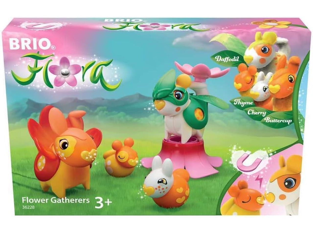 Gioco Flora narciso, ranuncolo e 2 amici - Gli esperti dei fiori