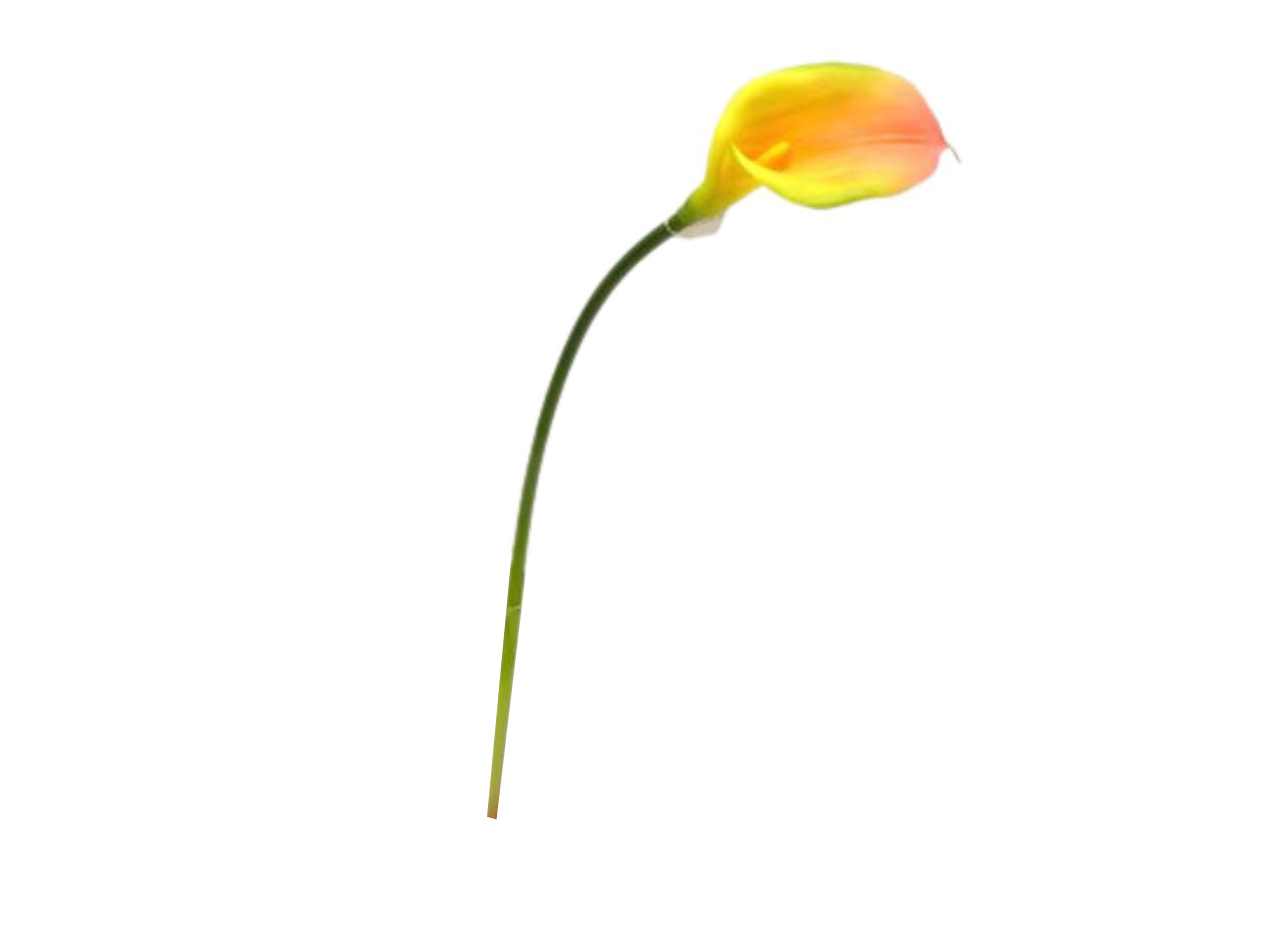 Calla lily spray 73cm colore 18