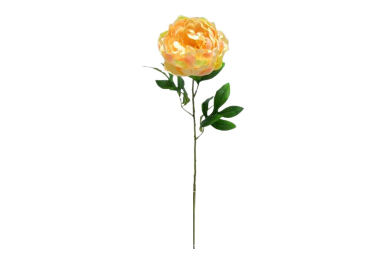 Single peony spray colore 04