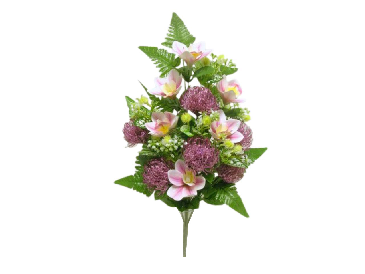 Cymbidium/leucospermum frontale colore 03