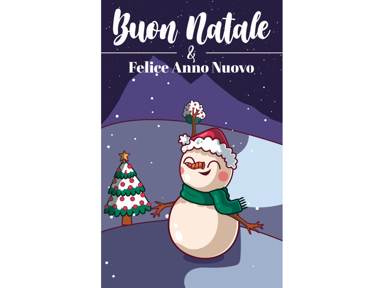 Biglietti buon natale 9x14cm in confezione da 6 pezzi fantasie assortite